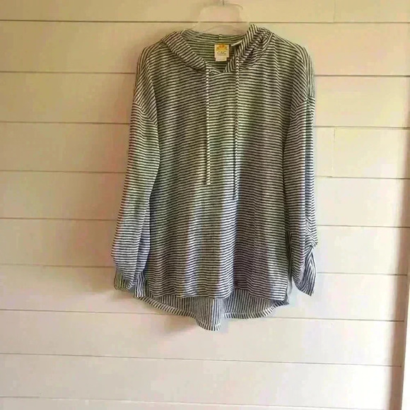 C&C California NWT 100% Linen Blue Striped Hooded Long Sleeve Top Size S - Picture 3 of 5